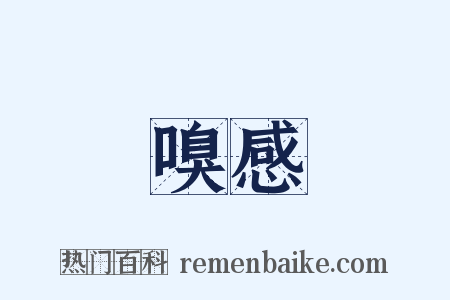 嗅感是什么意思的图片